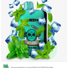 ELFBAR 23 000 Полярна М'ята